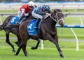 Derby and Goodwood clues emerge from stacked Sangster Day at Morphettville