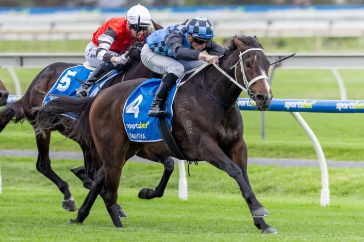 Panova took out yesterday's Australasian Oaks, giving James McDonald his first SA Group 1