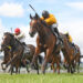 Hastings Trials: NZ Trial Watcher uncovers a host of coming winners