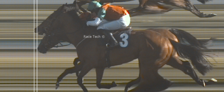 The outside horse (3) Fiskardo was eventually declared the winner, but not before correct weight saw bets on  Ksar D'Oudairies were paid out (Credit: BHA)