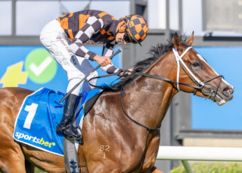 Nitschke Stakes Preview: Mitch Lewis takes a forensic look at the 3yo feature