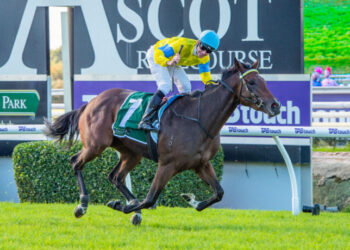 Smink’s Sangster bid builds momentum