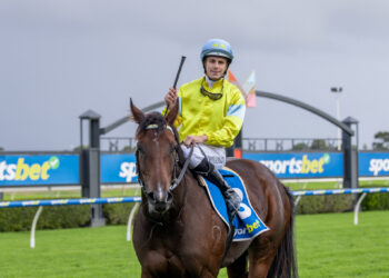 Super Smink returning to scale.