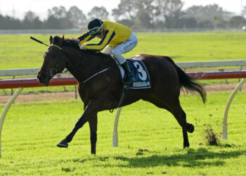 Weptak has come back in good order.