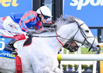 Finally drawn right: Sea What I See ready to break through