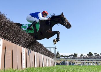 Warrnambool May Carnival 2026 mega guide