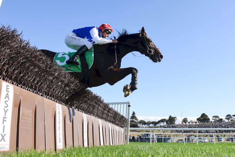 Duke Of Bedford won the 2025 Grand Annual Steeplechase. (Photo by Pat Scala/Racing Photos)