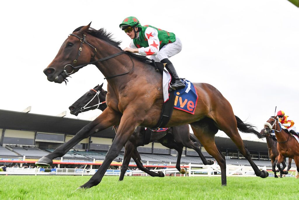 Dean Watling’s NSW Trial Report: Key horses to follow from Canterbury and Rosehill