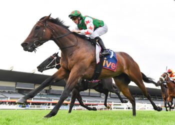 Dean Watling’s NSW Trial Report: Key horses to follow from Canterbury and Rosehill