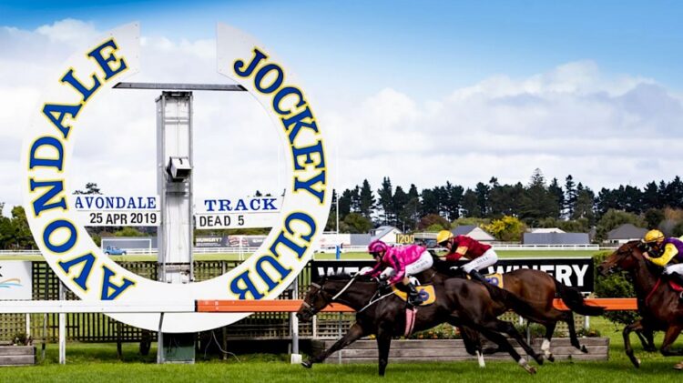 NZ Trial Watcher was all over Tuesday's Avondale Trials