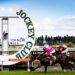 NZ Trial Watch pinpoints several coming winners from the Avondale trials