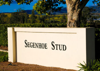 Yulong’s $30m power play: Giant moves into Hunter Valley