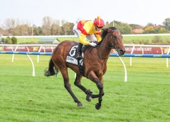 Caulfield Buy, Hold, Sell: Key SA Carnival clues emerge from off-season meeting