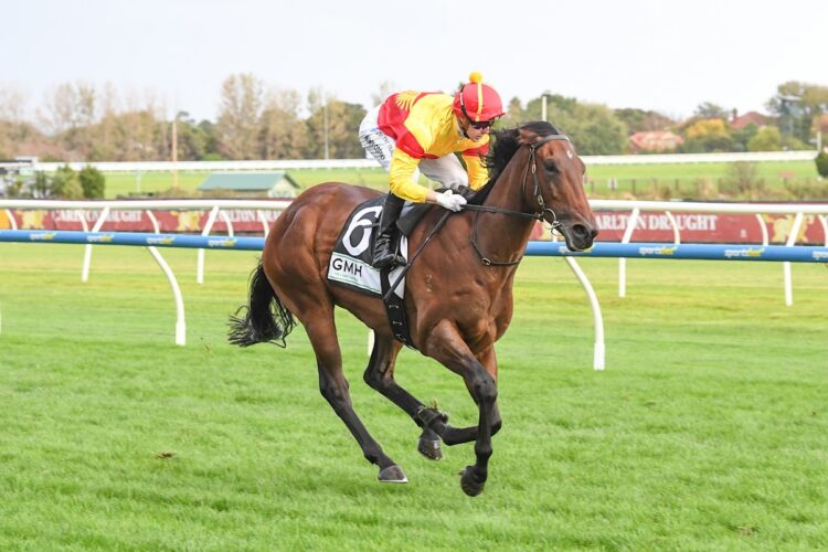 Oliveanotherday ridden by Harry Coffey wins the GMH Fire & Safety Australia Handicap at Caulfield Racecourse on April 11, 2026 in Caulfield, Australia. (Photo by Brett Holburt/Racing Photos)