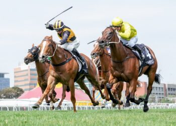 Price-Kent plot Redelva assault with Goodwood hopefuls