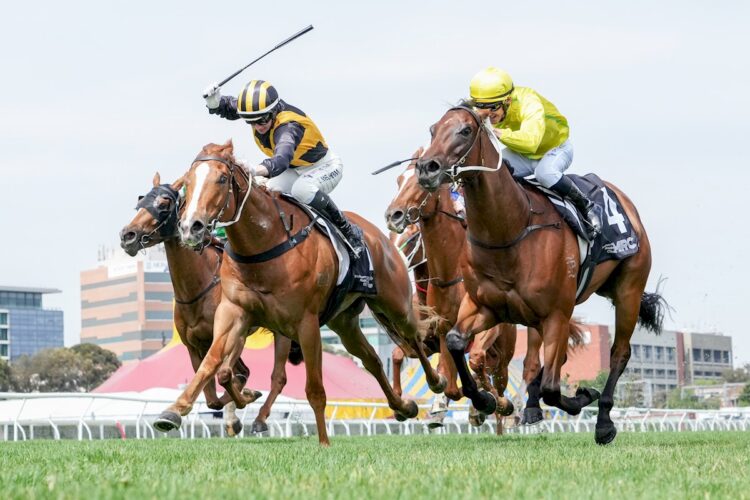 Can Job Done repeat the deeds of Reserve Bank (Credit: Racing Photos)