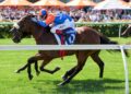 Brisbourne’s bold Champagne Stakes double shot