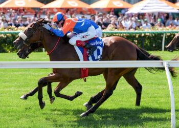 Brisbourne’s bold Champagne Stakes double shot