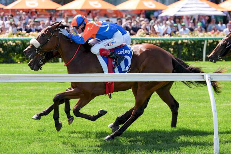 Grinzinger Heart ridden by Craig Williams wins the Darley Sires' Produce Stakes at Flemington Racecourse on March 07, 2026 in Flemington, Australia. (Photo by George Sal/Racing Photos)