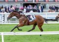 Speed horse in a staying race? Cumani’s Derby gamble