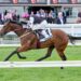 Speed horse in a staying race? Cumani’s Derby gamble