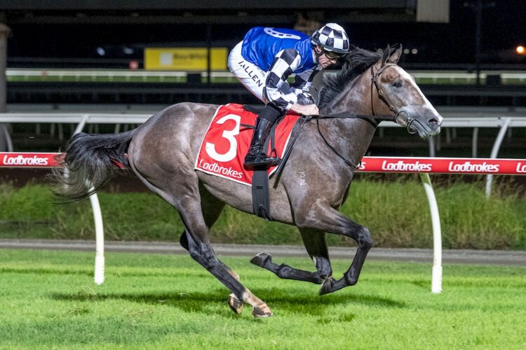 Accidental Bid (GB) ridden by John Allen wins the Ladbrokes Sky Heights Stayers Series Heat 2 at Sportsbet Pakenham on April 16, 2026 in Pakenham, Australia. (Photo by Jay Town/Racing Photos)