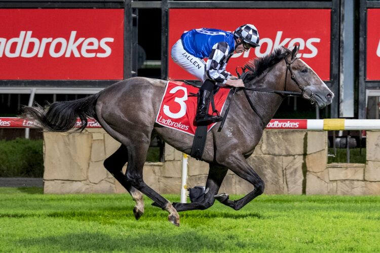 Accidental Bid (GB) ridden by John Allen wins the Ladbrokes Sky Heights Stayers Series Heat 2 at Sportsbet Pakenham on April 16, 2026 in Pakenham, Australia. (Photo by Jay Town/Racing Photos)