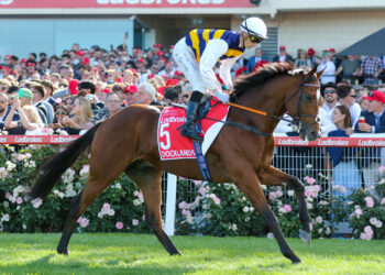 Docklands targets $24m Hong Kong payday