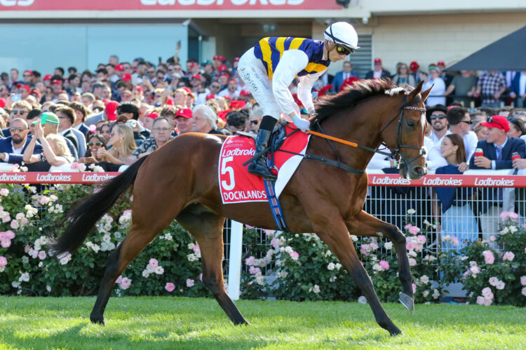 Docklands will face elite opposition, including Voyage Bubble and Jantar Mantar, in the HK$24 million G1 FWD Champions Mile at Sha Tin. [HKJC]