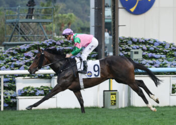 Purton closes on century as Ka Ying Rising chases 20