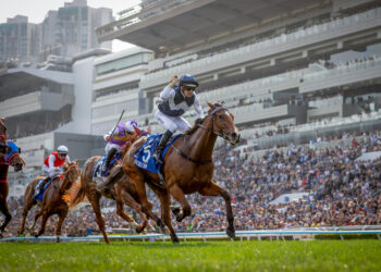 INVINCIBLE IBIS ridden by Hugh Bowman wins the THE BMW HONG KONG DERBY 2026 at Sha Tin Racecourse in Hong Kong on March 22, 2026. Photo by: Alex Evers /HKJC