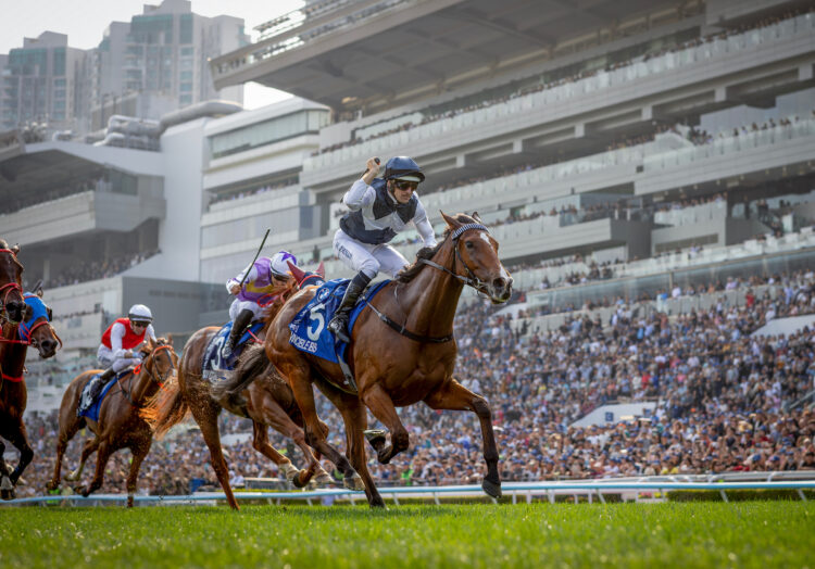 INVINCIBLE IBIS ridden by Hugh Bowman wins the THE BMW HONG KONG DERBY 2026 at Sha Tin Racecourse in Hong Kong on March 22, 2026. Photo by: Alex Evers /HKJC