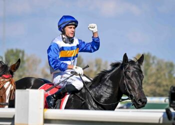 Logan Bates returns to the mounting yard on Jigsaw