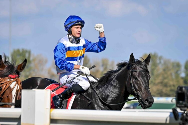 Logan Bates returns to the mounting yard on Jigsaw