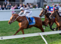Irwin Stakes 2026 Runner-by-Runner Preview: Sprint stars clash at Morphettville