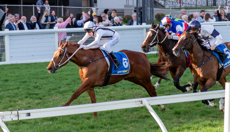 Watchme Win is a key chance in Saturday's Irwin Stakes