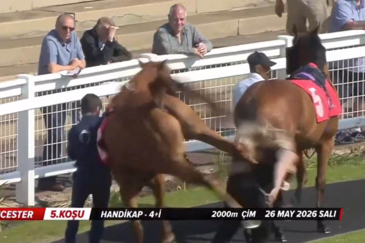 A stable groom was rushed to hospital after being kicked by a horse in a frightening pre-race incident