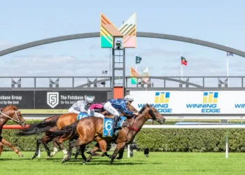 Bred ‘Em All avoids Hong Kong sale and chases third straight win at Caulfield