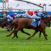 ‘I spent hours just staring at the wall, it was brutal’: the 0.02-length gut punch that delivered Goodwood heartbreak