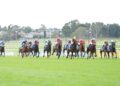 Sandown track rating under spotlight after testing conditions