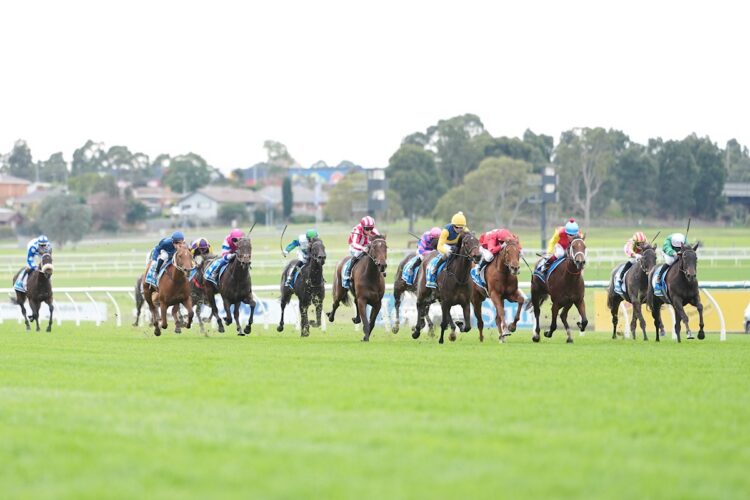 Milos Filos ridden by Alana Kelly wins the Sportsbet Feed Handicap at Sportsbet Sandown Hillside Racecourse on May 23, 2026 in Springvale, Australia. (Photo by Scott Barbour/Racing Photos)