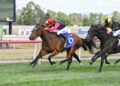 Yulong’s new million-dollar buy chasing Stakes glory at Scone