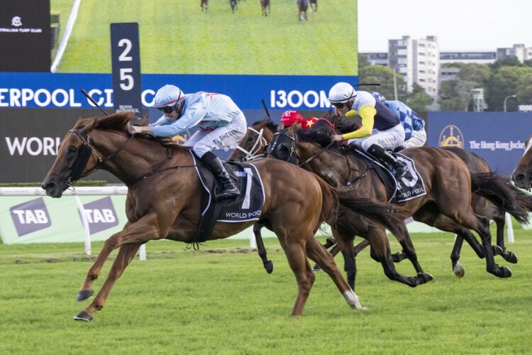 King Of Roseau [Bradley Photos]