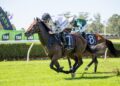 Million-dollar clash for stallion crown