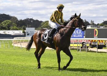 Ponybet Review: Rollcoaster Saturday ends in the black, all eyes to the ‘Bool