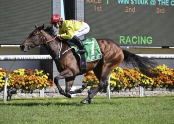 ‘She belongs’: Baker bullish On $1 Million Sires’ Produce shot