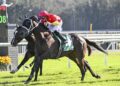 Henry Field admits Queensland Derby favourites were bought for the wrong races