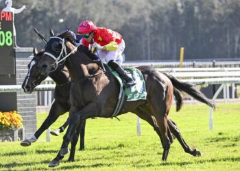 Henry Field admits Queensland Derby favourites were bought for the wrong races