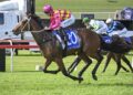 Ponybet Weekend Review: Roughie lands at 150-1 as early multis put pressure on the book