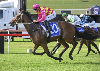 Queen Regent was the bookies' friend when winning at 150/1 at Scone